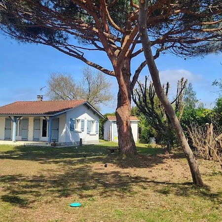 Maison Cosy Entre Ocean Et Bassin