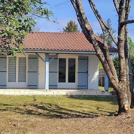 Maison Cosy Entre Ocean Et Bassin Ferienhaus Lège-Cap-Ferret